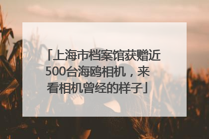 上海市档案馆获赠近500台海鸥相机，来看相机曾经的样子