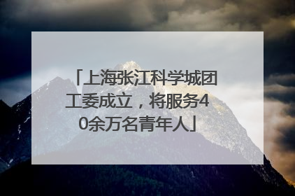 上海张江科学城团工委成立，将服务40余万名青年人