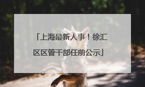 上海最新人事！徐汇区区管干部任前公示