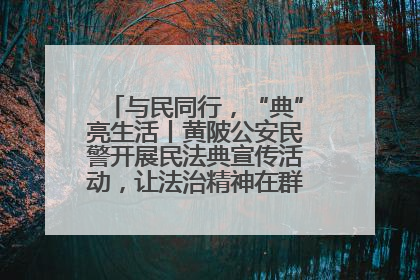 与民同行，“典”亮生活丨黄陂公安民警开展民法典宣传活动，让法治精神在群众心中落地生根