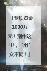 专项资金1000万元！荆州这里，“羽”众不同！