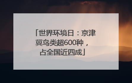 世界环境日：京津冀鸟类超600种，占全国近四成