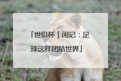 世俱杯｜闲记：足球这样团结世界