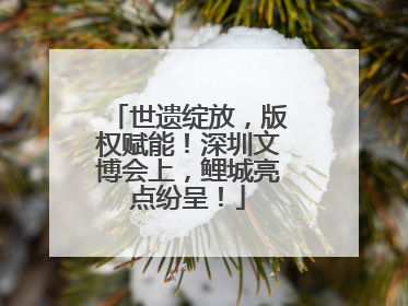 世遗绽放，版权赋能！深圳文博会上，鲤城亮点纷呈！