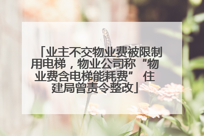 业主不交物业费被限制用电梯，物业公司称“物业费含电梯能耗费” 住建局曾责令整改