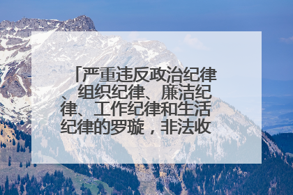 严重违反政治纪律、组织纪律、廉洁纪律、工作纪律和生活纪律的罗璇，非法收受他人巨额财物