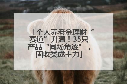 个人养老金理财“赛道”升温！35只产品“同场角逐”，固收类成主力