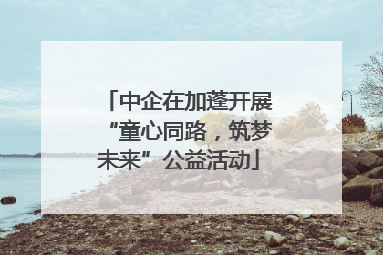 中企在加蓬开展“童心同路，筑梦未来”公益活动
