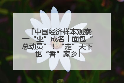 中国经济样本观察·一“业”成名丨面包“总动员”！“走”天下也“香”家乡