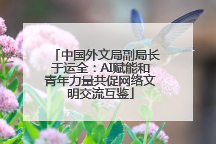 中国外文局副局长于运全：AI赋能和青年力量共促网络文明交流互鉴