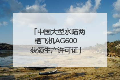 中国大型水陆两栖飞机AG600获颁生产许可证