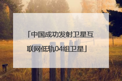中国成功发射卫星互联网低轨04组卫星