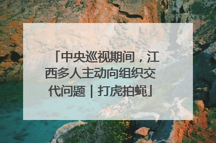 中央巡视期间，江西多人主动向组织交代问题｜打虎拍蝇