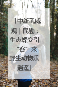 中新武威观｜民勤：生态蝶变引“客”来 野生动物乐逍遥