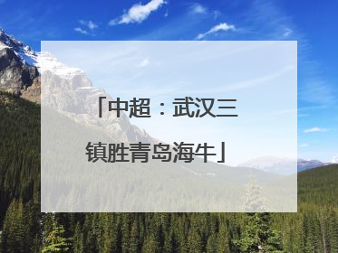 中超：武汉三镇胜青岛海牛