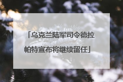 乌克兰陆军司令德拉帕特宣布将继续留任