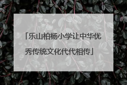 乐山柏杨小学让中华优秀传统文化代代相传