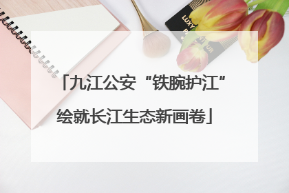 九江公安“铁腕护江”绘就长江生态新画卷