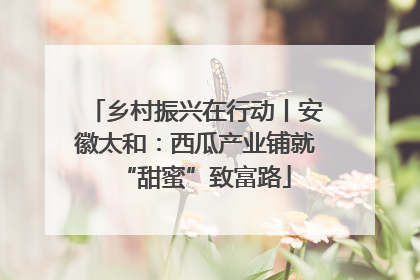 乡村振兴在行动丨安徽太和：西瓜产业铺就“甜蜜”致富路