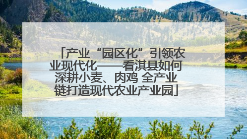 产业“园区化”引领农业现代化——看淇县如何深耕小麦、肉鸡 全产业链打造现代农业产业园