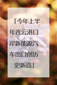 今年上半年连云港口岸新能源汽车出口创历史新高