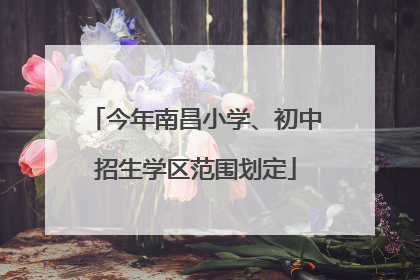 今年南昌小学、初中招生学区范围划定