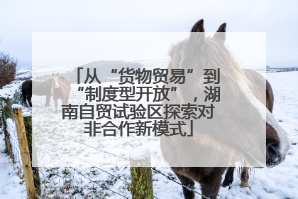 从“货物贸易”到“制度型开放”，湖南自贸试验区探索对非合作新模式