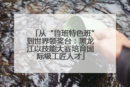 从“鲁班特色班”到世界领奖台：黑龙江以技能大赛培育国际级工匠人才