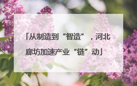 从制造到“智造”，河北廊坊加速产业“链”动
