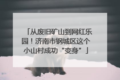 从废旧矿山到网红乐园！济南市钢城区这个小山村成功“变身”