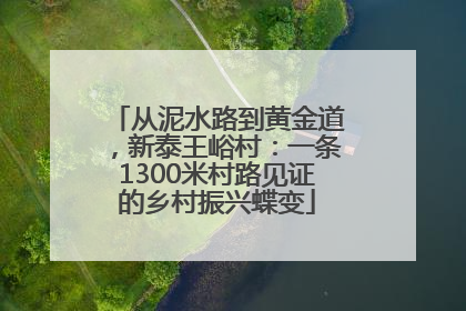 从泥水路到黄金道，新泰王峪村：一条1300米村路见证的乡村振兴蝶变