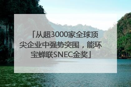 从超3000家全球顶尖企业中强势突围，能环宝蝉联SNEC金奖