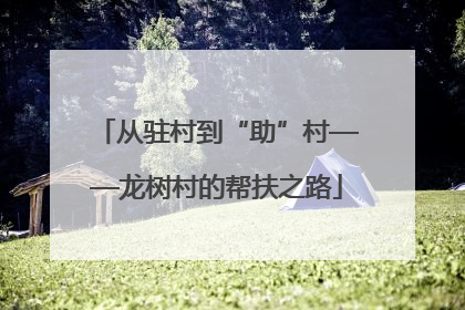 从驻村到“助”村——龙树村的帮扶之路