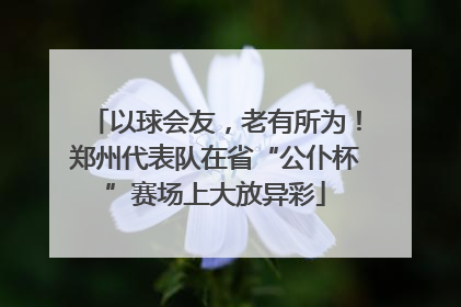 以球会友，老有所为！郑州代表队在省“公仆杯”赛场上大放异彩