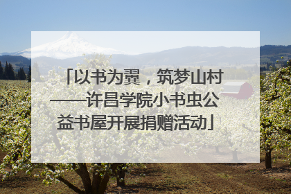 以书为翼，筑梦山村——许昌学院小书虫公益书屋开展捐赠活动