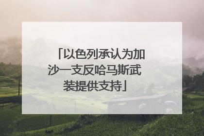 以色列承认为加沙一支反哈马斯武装提供支持