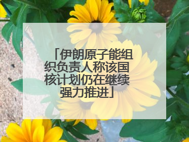 伊朗原子能组织负责人称该国核计划仍在继续强力推进
