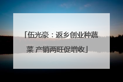 伍光豪：返乡创业种蔬菜 产销两旺促增收