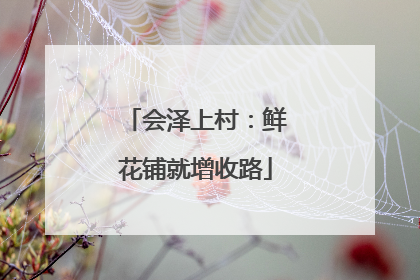 会泽上村：鲜花铺就增收路