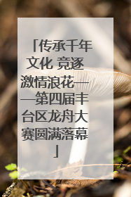 传承千年文化 竞逐激情浪花——第四届丰台区龙舟大赛圆满落幕
