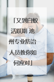 又到白蚁活跃期 池州专业防治人员教你如何应对