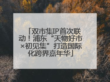 双市集IP首次联动！浦东“天物好市×初见集”打造国际化跨界嘉年华