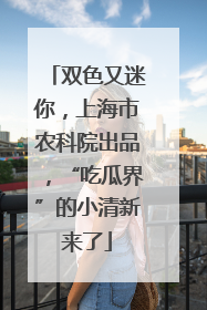 双色又迷你，上海市农科院出品，“吃瓜界”的小清新来了
