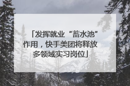 发挥就业“蓄水池”作用，快手美团将释放多领域实习岗位