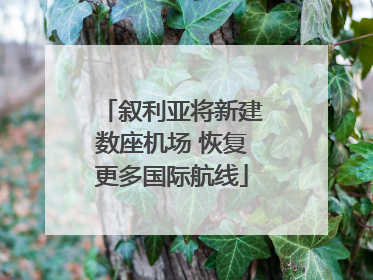 叙利亚将新建数座机场 恢复更多国际航线