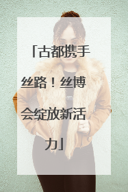 古都携手丝路！丝博会绽放新活力