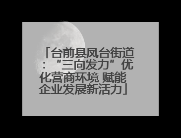 台前县凤台街道：“三向发力”优化营商环境 赋能企业发展新活力