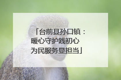 台前县孙口镇：暖心守护践初心 为民服务显担当