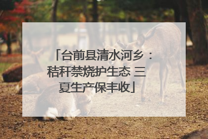 台前县清水河乡：秸秆禁烧护生态 三夏生产保丰收