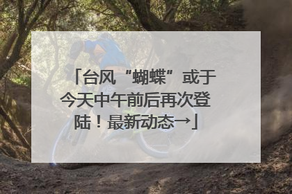 台风“蝴蝶”或于今天中午前后再次登陆！最新动态→